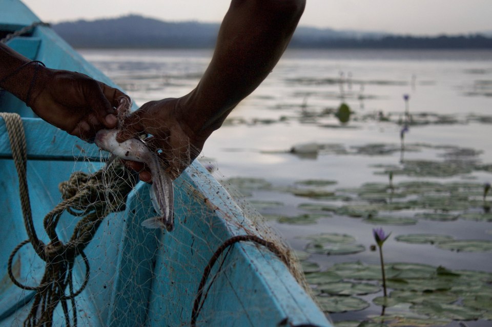 fishing_snapseed_new